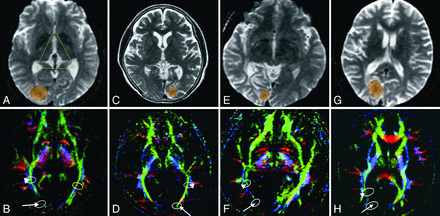 Fig 1.
