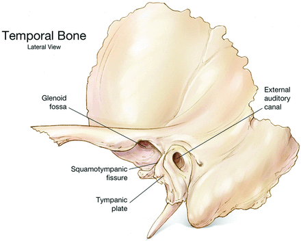 Fig 1.