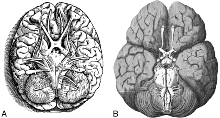 Fig 7.