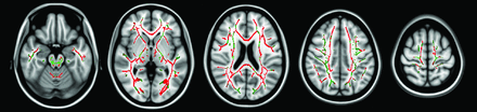 Fig 1.