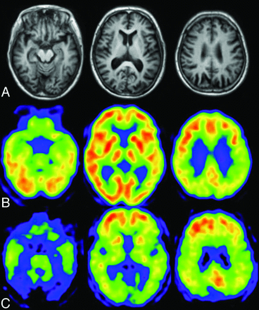 Fig 1.