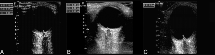 Fig 1.