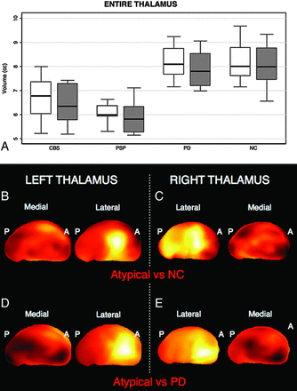 Fig 1.