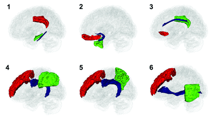 Fig 1.