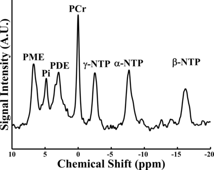 Fig 2.