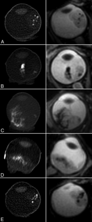 Fig 1.