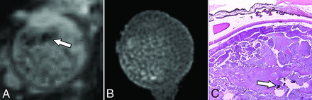 Fig 3.