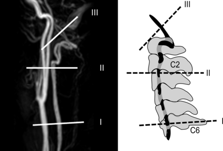 Fig 1.