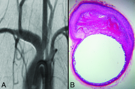 Fig 1.