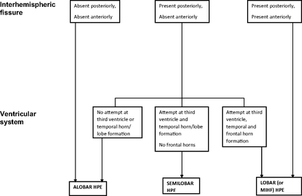 Fig 1.