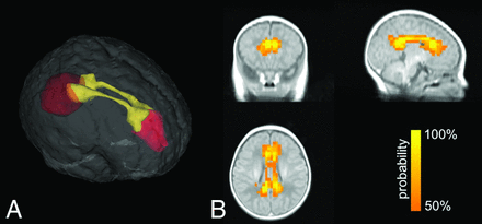 Fig 2.