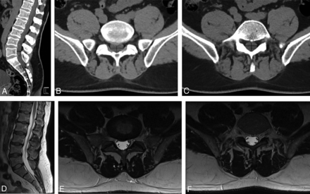 Fig 1.
