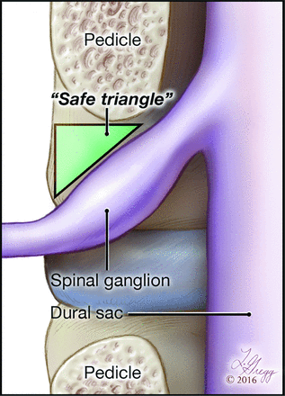 Fig 1.