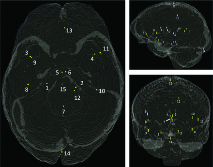 Fig 1.