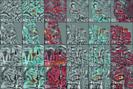 Fig 2.