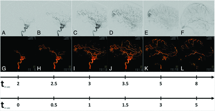 Fig 2.