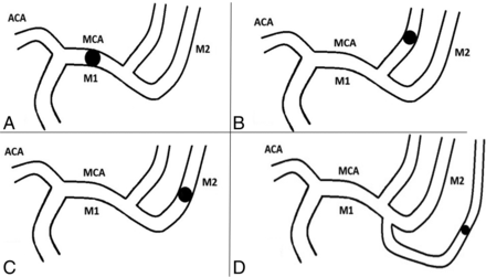 Fig 3.