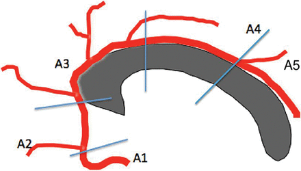 Fig 1.