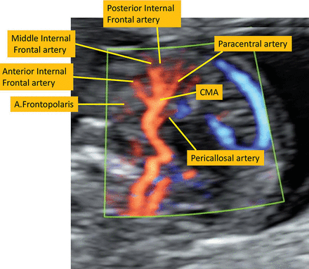 Fig 2.