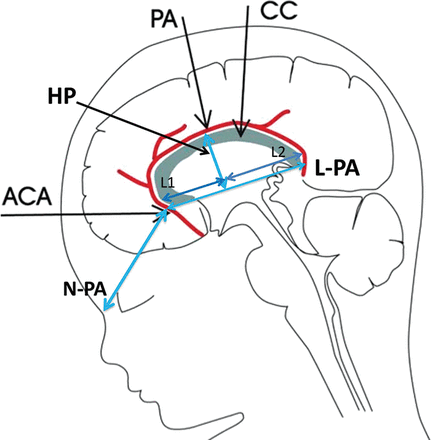 Fig 3.