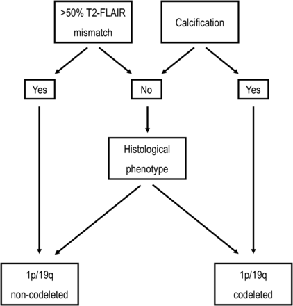 Fig 3.