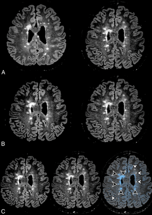 Fig 1.