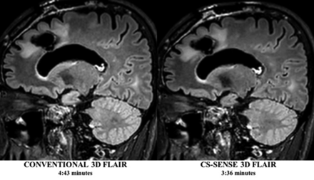 Fig 1.