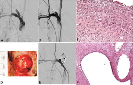 Fig 1.