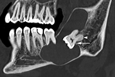 FIG 8.