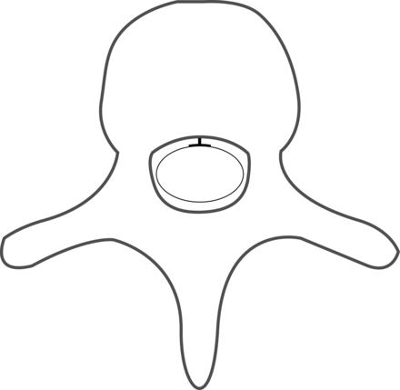 FIG 1.