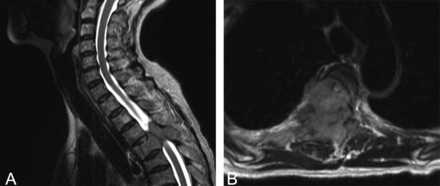 Fig 1.