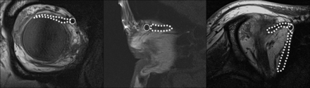 Fig 8.