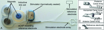 FIG 1.
