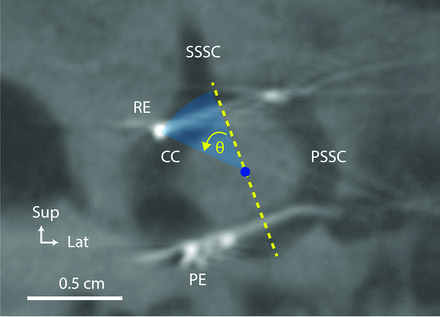 FIG 3.