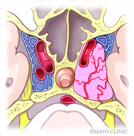 FIG 5.