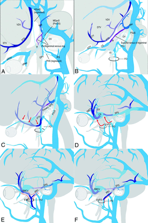 FIG 6.