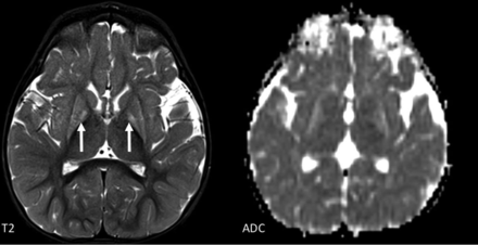 FIG 10.
